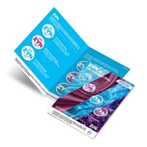 Zyn Double Sided Leaflet